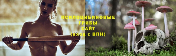 гидропоника Абинск