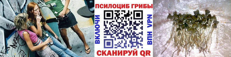 Псилоцибиновые грибы Magic Shrooms  Хабаровск 